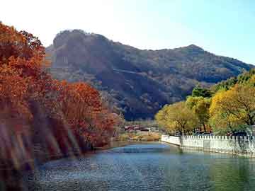 新澳天天开奖资料大全旅游团，铝屑压块机